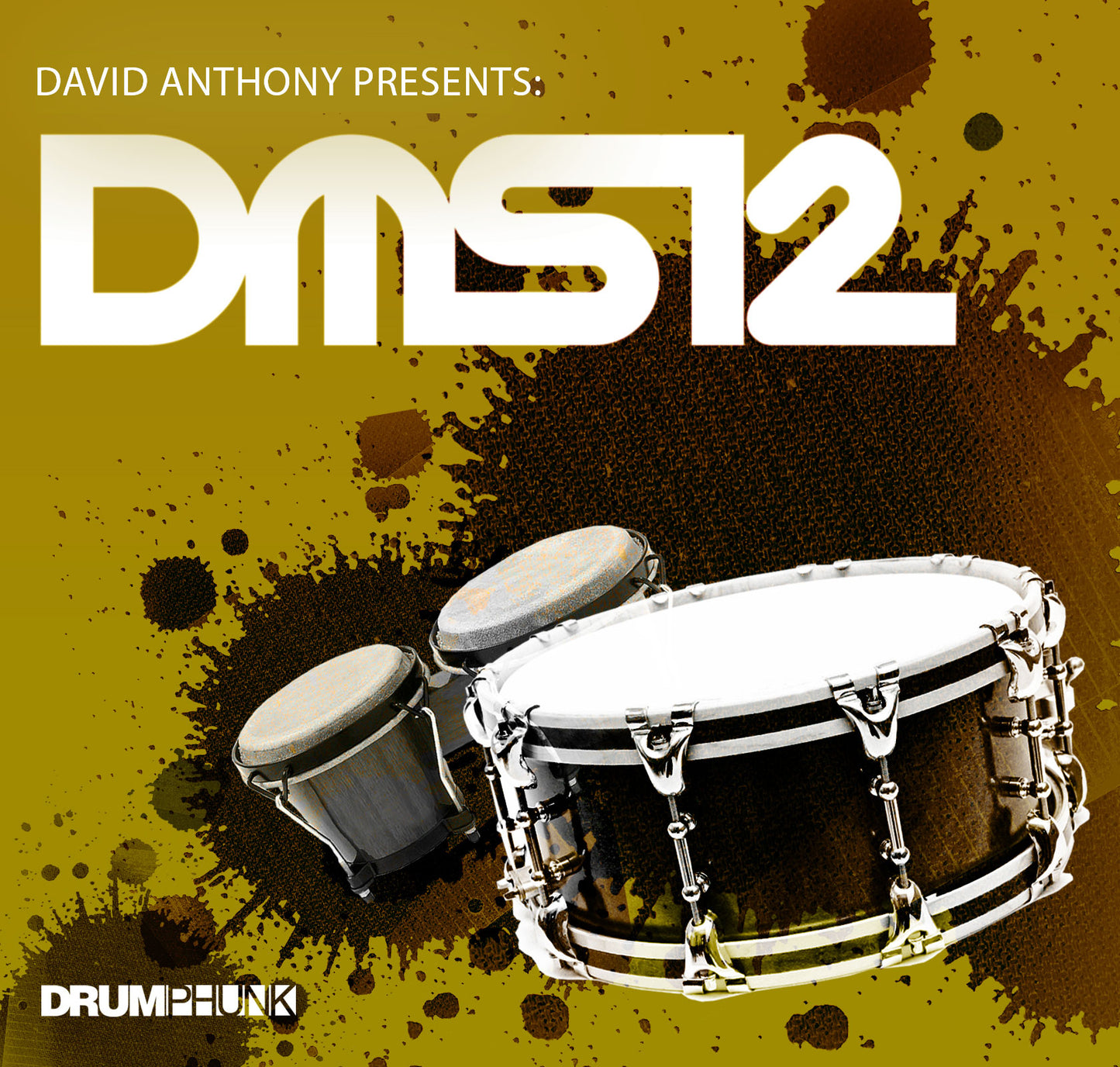 DMS12