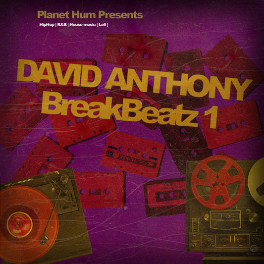 David Anthony BreakBeatz 1