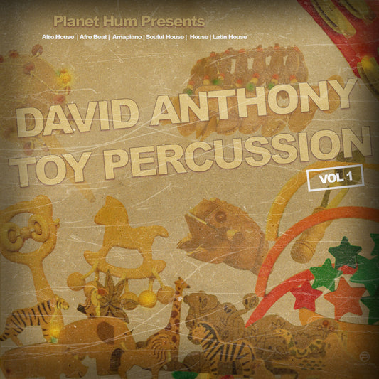 David Anthony Toy Percussion