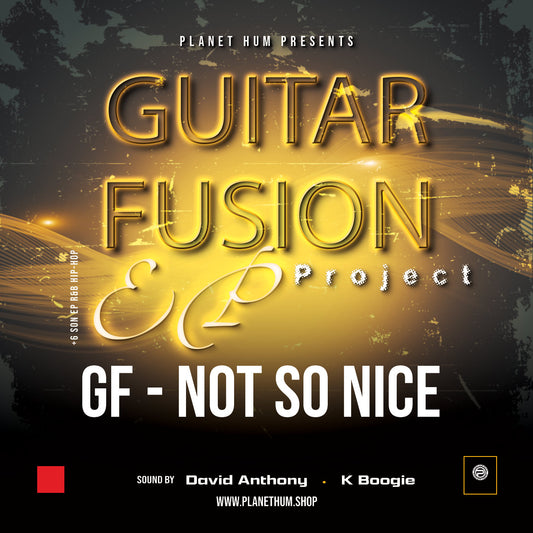 Guitar Fusion EP - Not So Nice